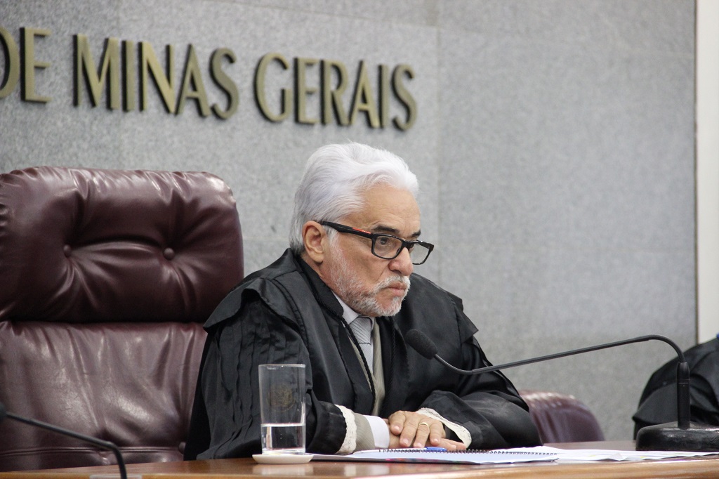 Relator e presidente da Segunda Câmara, Wanderley Ávila (Foto: Karina Camargos Coutinho)